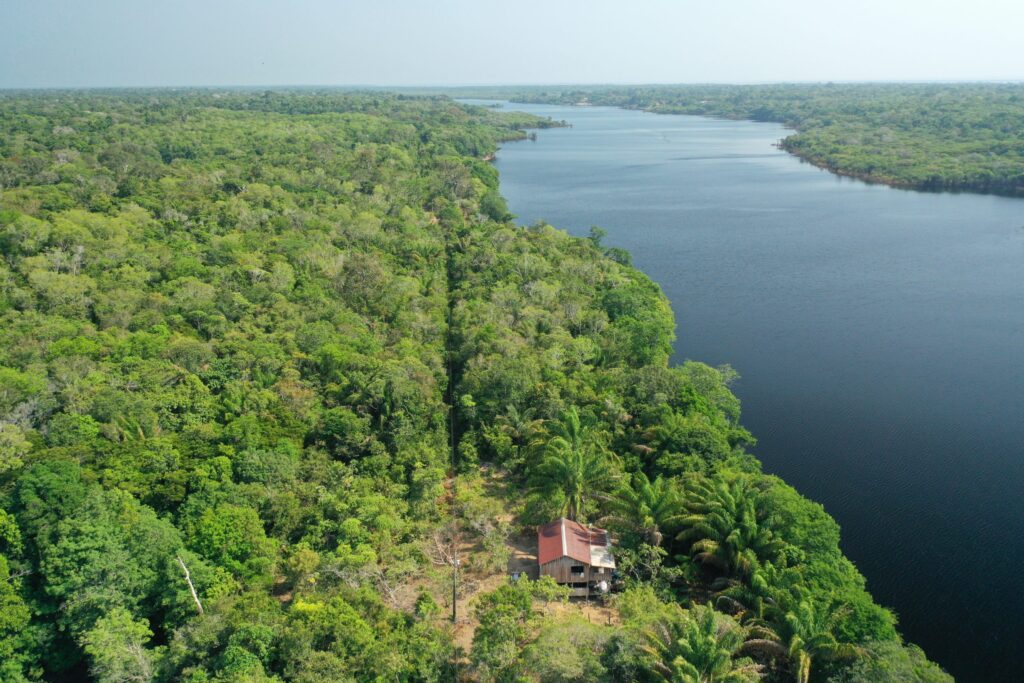 Amazonie