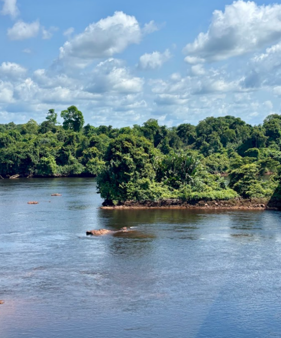 Amazonie