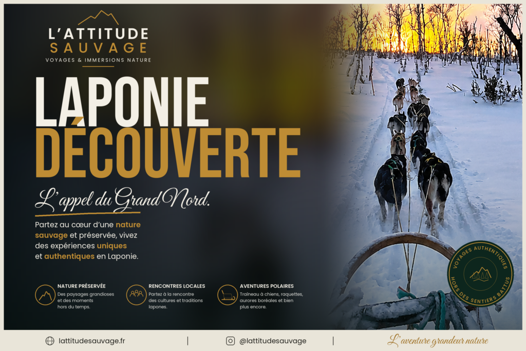 Laponie Découverte - Premiers pas au cœur du Grand Nord avec L'Attitude Sauvage
